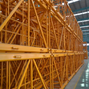 QTZ63 5T grúa torre a la venta en Brasil